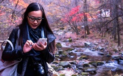 为什么我的B和别人的不一样